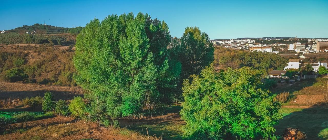 Alojamento Local Do Arado Bragança Εξωτερικό φωτογραφία